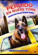 PERDIDO EN NUEVA YORK - COOL DOG